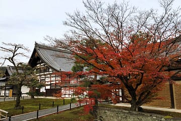 Japan Travel Planning