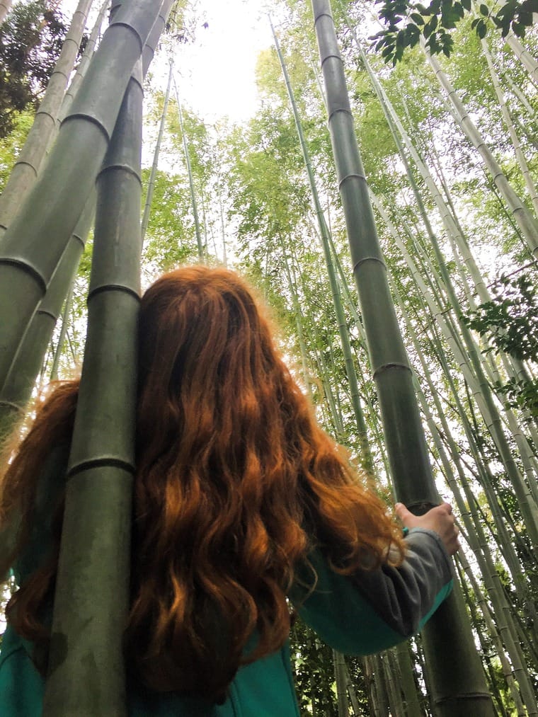 Arashiyama-Bamboo-Forest-Japan
